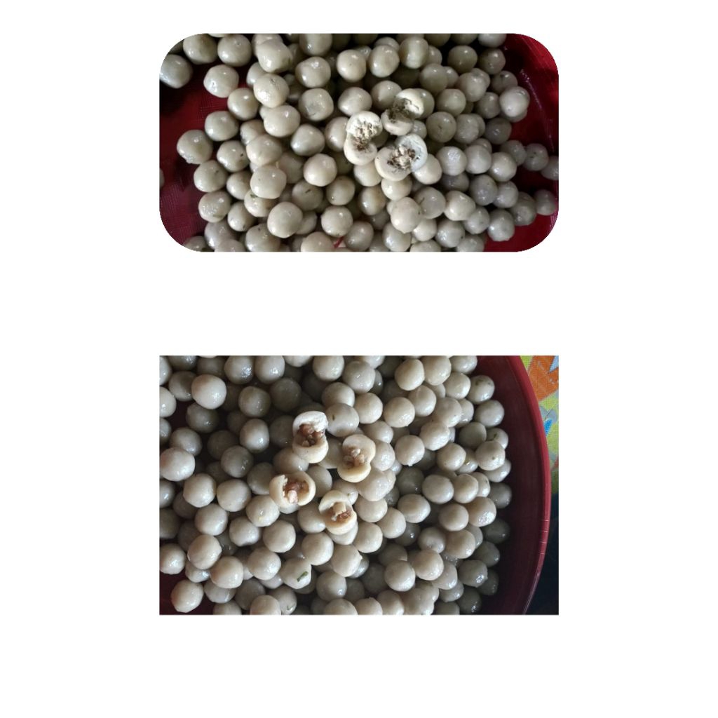 CILOK MIX ISI JANDO SAPI & AYAM - Cilok Teh Mondaa