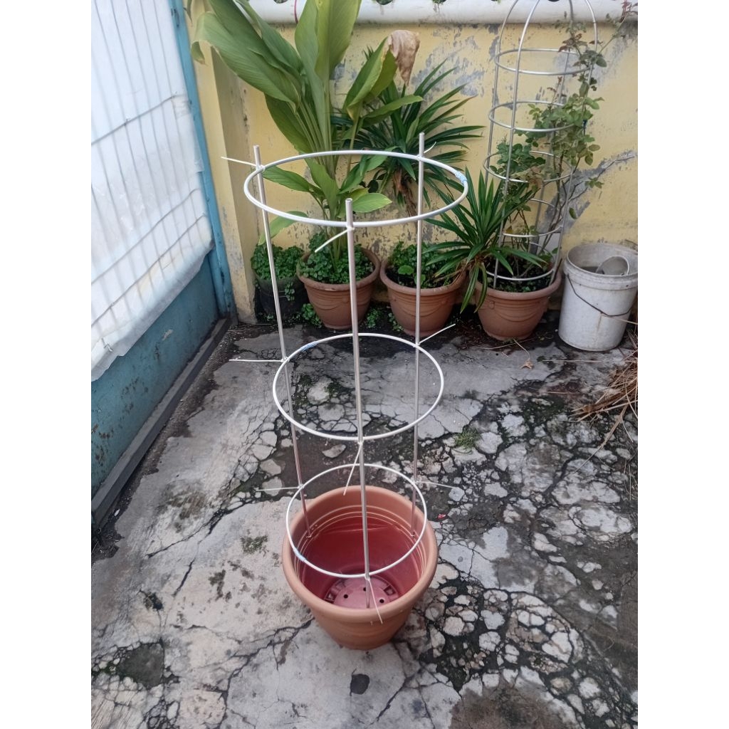 TIANG RAMBATAN ANGGUR