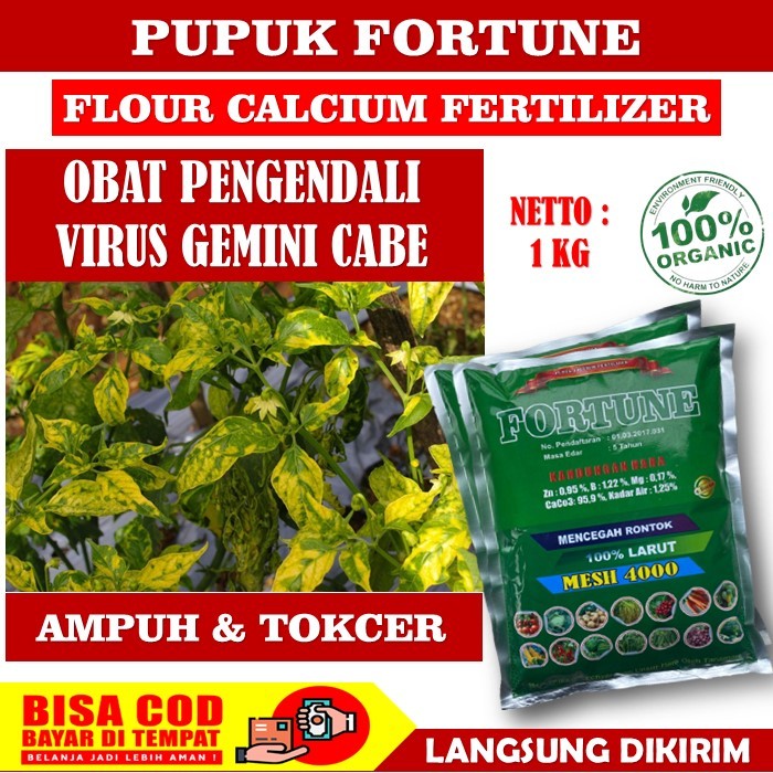 FORTUNE 1 KG Obat Hama Penyakit Virus gemini, Layu Kering Daun Cabe Anti Busuk Daun Buah