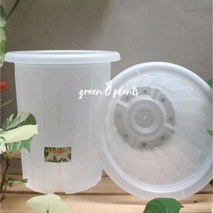 Grosir Pot Yogap YPT 18 Transparan Lusinan