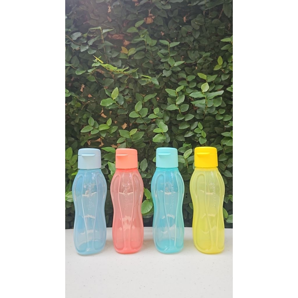 eco bottle 310ml (4) tupp india