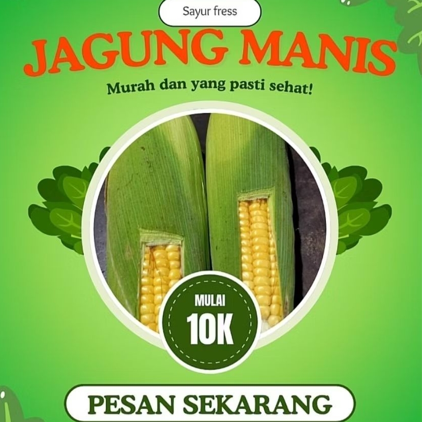 

Jagung manis fress,langsung dari petani 1 kg