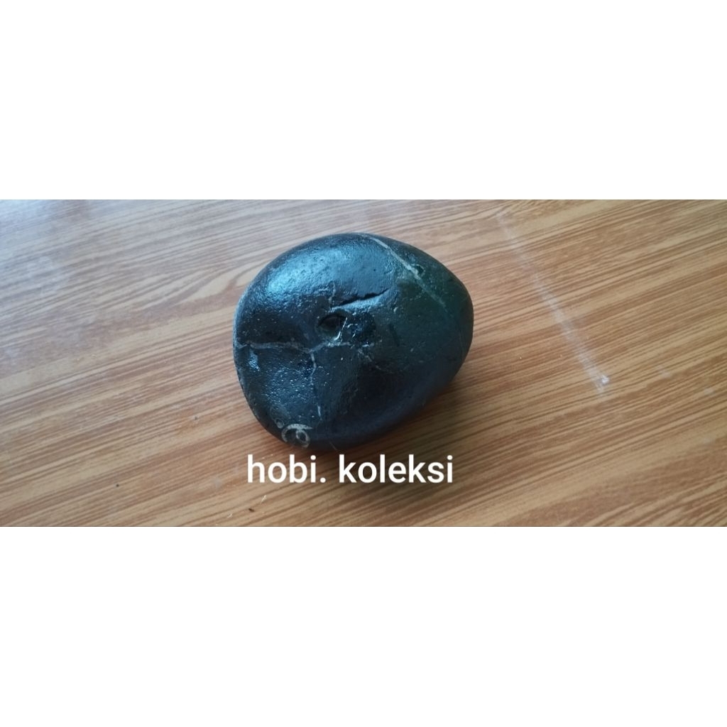 Batu Tapak Jalak Jumbo