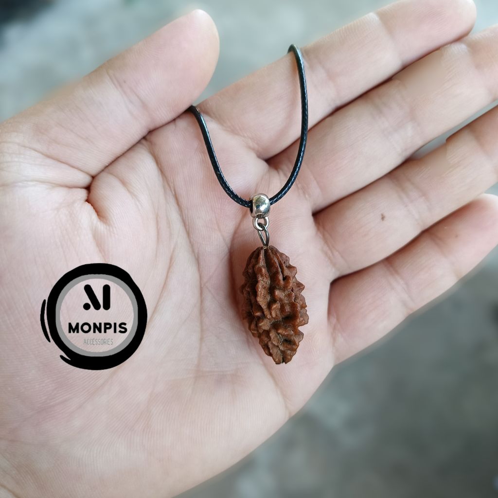 Kalung rudraksha Kalung jenitri Kalung mukhi 2 garis Kalung biji Kalung jenitri