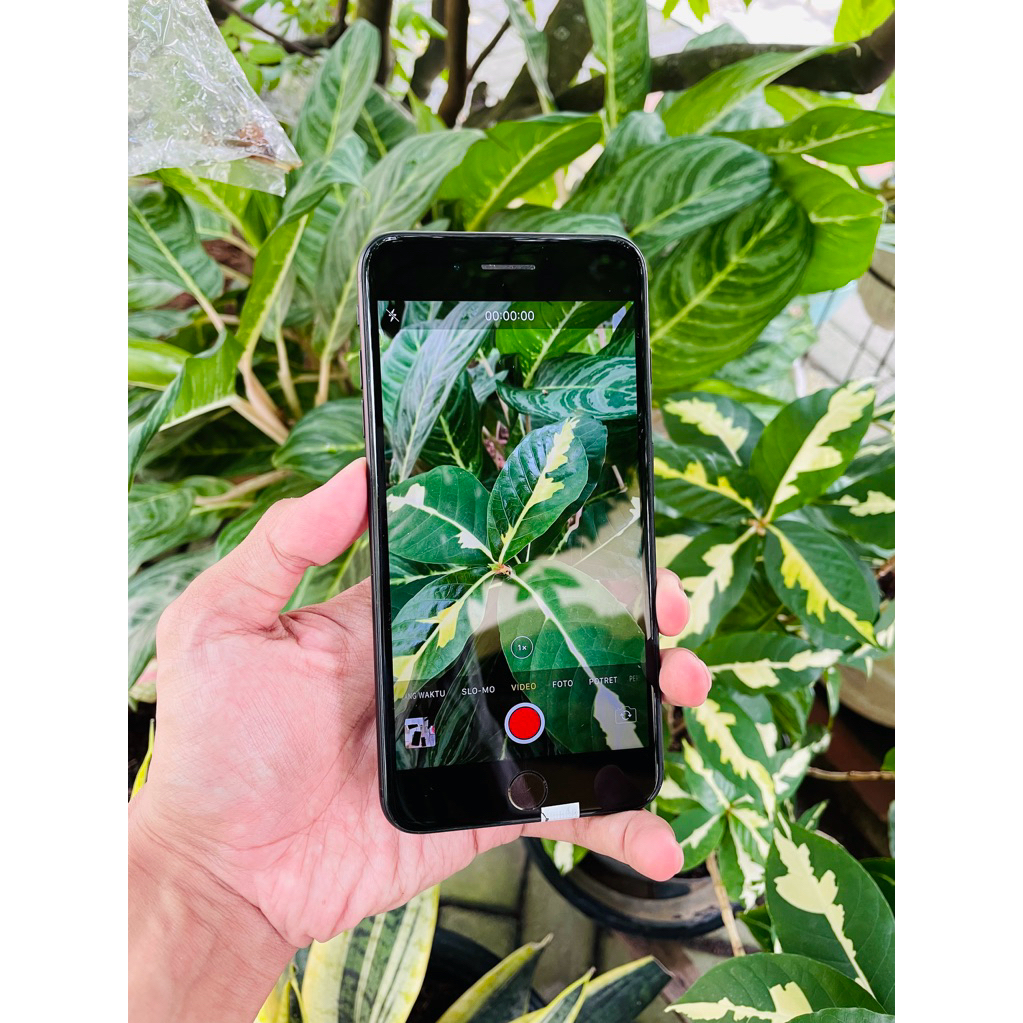 7 + 128 GB 4G All jaringan IBOX