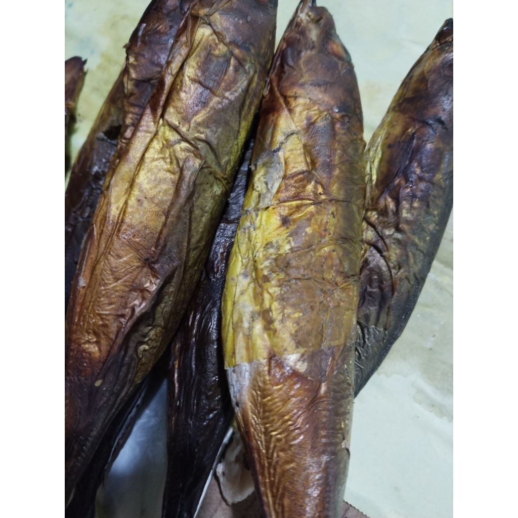 

ASAP IKAN CUEK PER EKOR