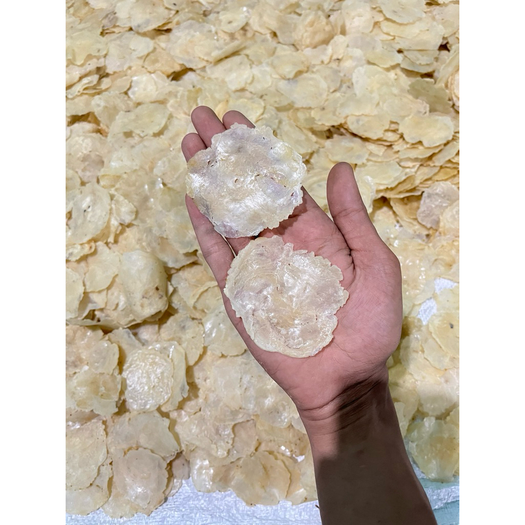 

EMPING MELINJO MENTAH SIAP GORENG FULL KERING 500 GRAM LB BIJI 3&4