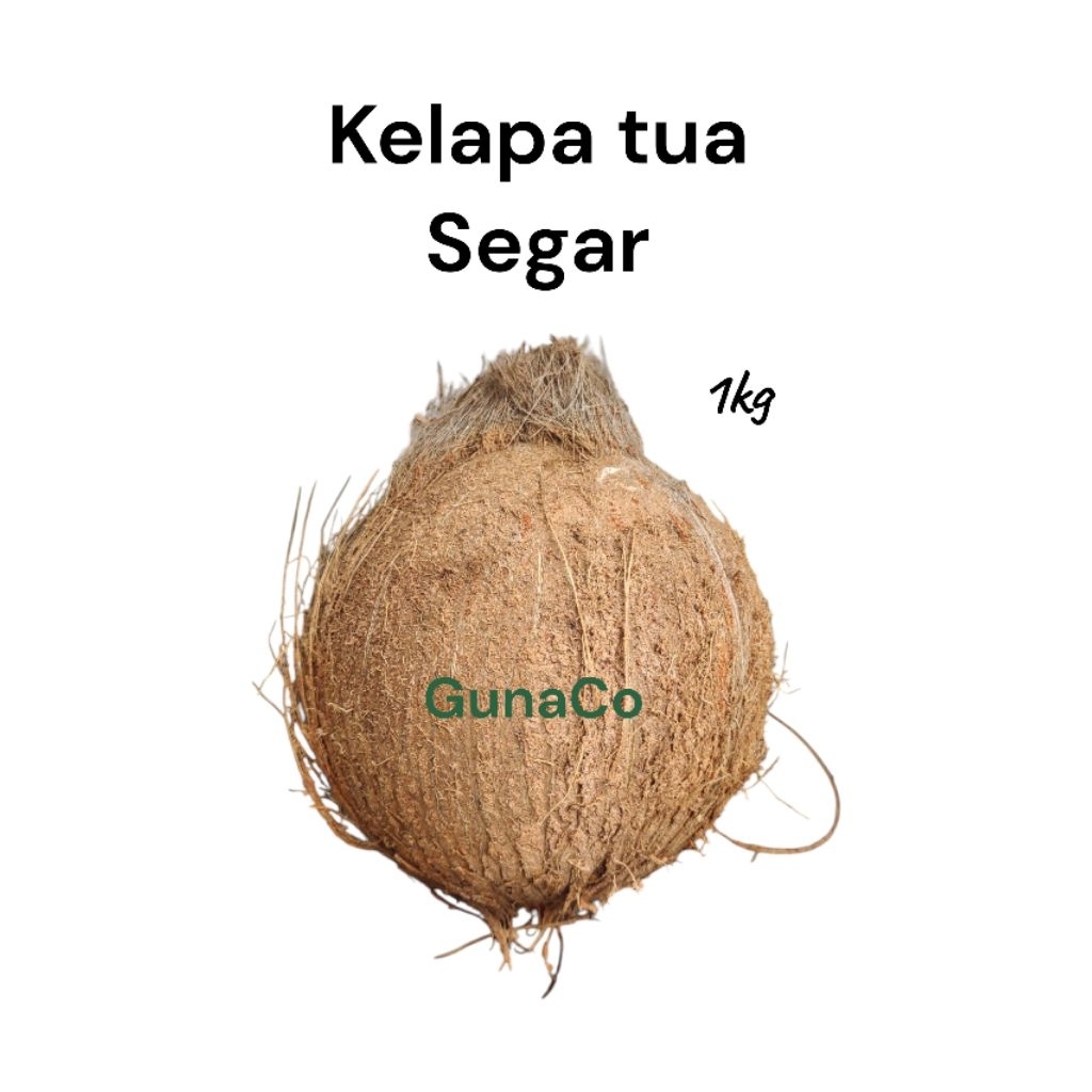 

GunaCo kelapa tua segar 1 buah 1kg, Penajam