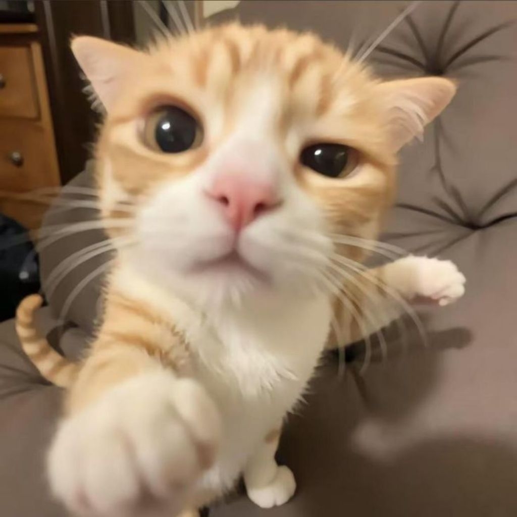 preloved kemeja pink