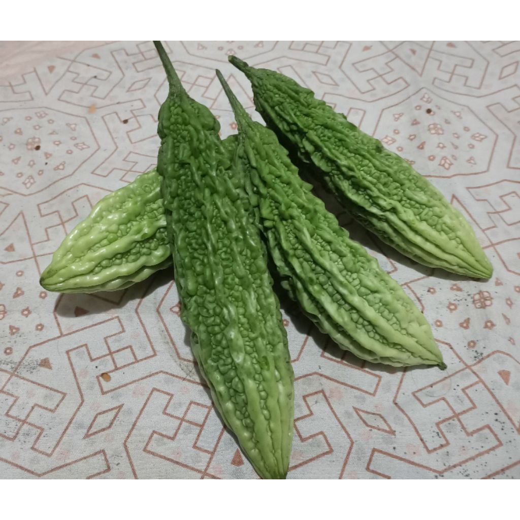 

pare fres Lembang /Paria lembang