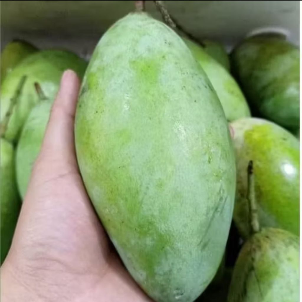 

MANGGA LOKMAY CIANGMAY MENGKAL 1 KG