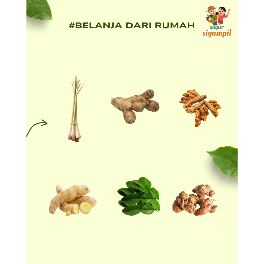 

Rempah Segar Serai Sereh / Lengkuas Laja / kunyit Kuning / Jahe / Cikur / Daun Jeruk Bandung