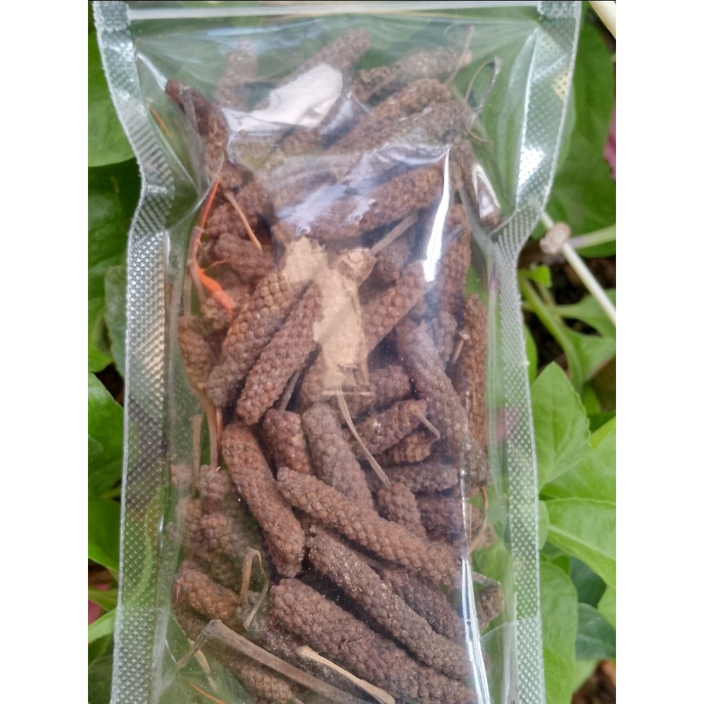 

Cabe Jawa - Cabai Jamu - Cabai Puyang - Cabai Kecil Panjang - Cabai Reket - Javanese Long Pepper - Indonesian Long Pepper - Spice for Herbal Medicine - Piper retrofractum - Spice for Herbal Medicine.