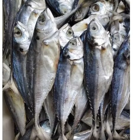 

ikan asin cenceru / ikan asin kotok kering