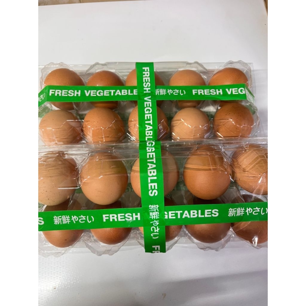 

Telur ayam negri 10butir