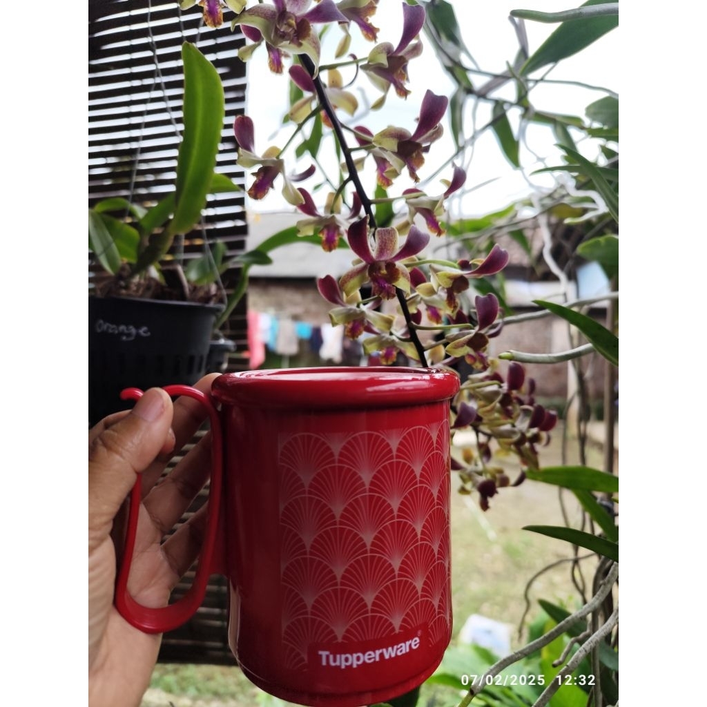 Mug tupperware warna merah