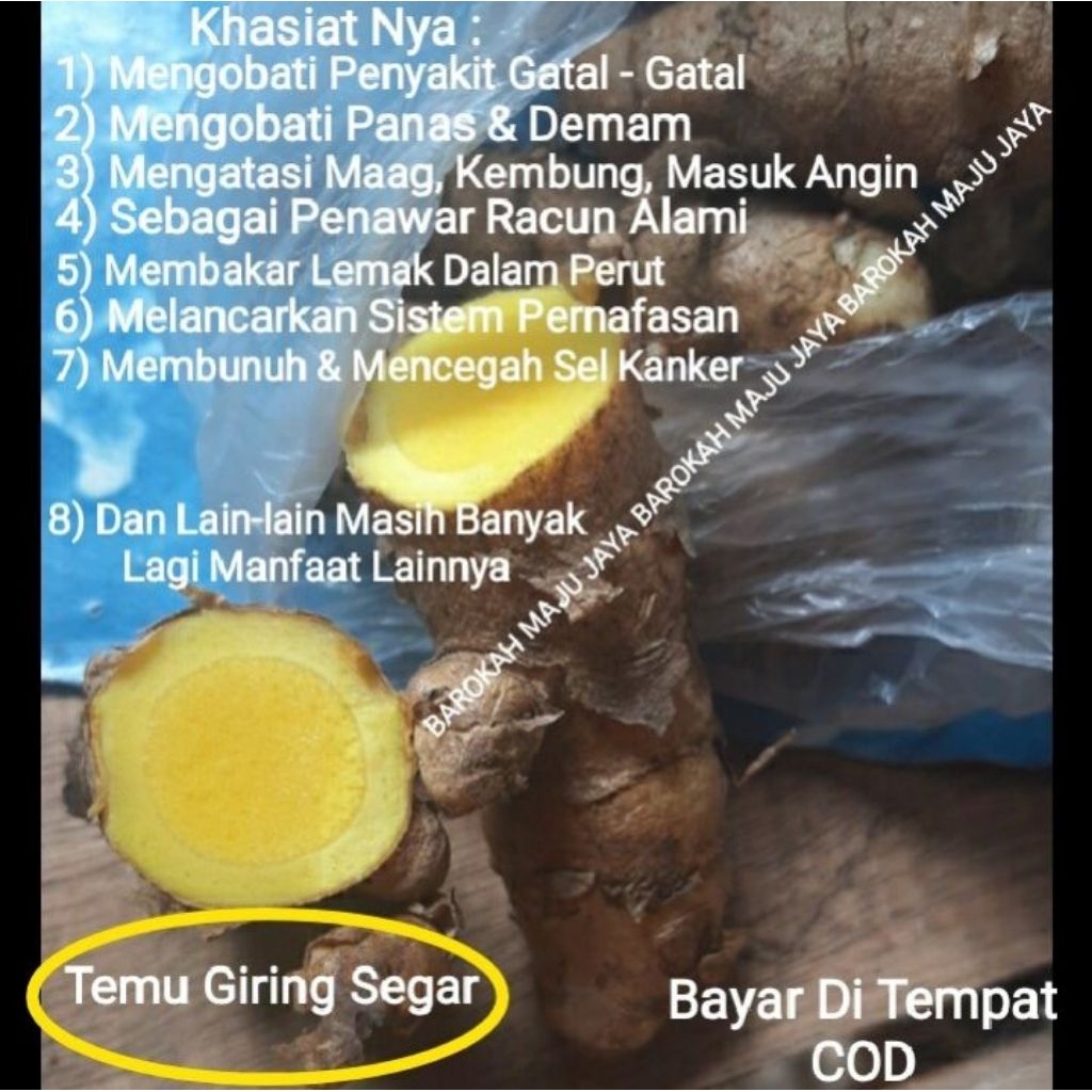 

Temu giring 1000 gram herbal alami