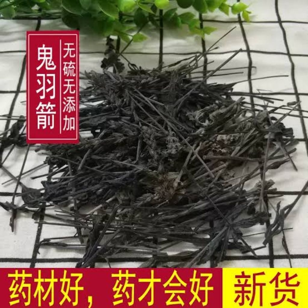 

100gr Herbal Gui Yu Cao 鬼羽草 Gui Yu Jian 鬼羽箭 Gui Zhen Cao 鬼针草 Jaminan Premium Grade Herba Bidentis Bipinnatae / Bidens Bipinnata / Railway Beggarticks / Spanish Needles / Beggar Ticks / Bur Marigold / Cobblers Pegs / Common Blackjack / Hairy Beggar Ticks
