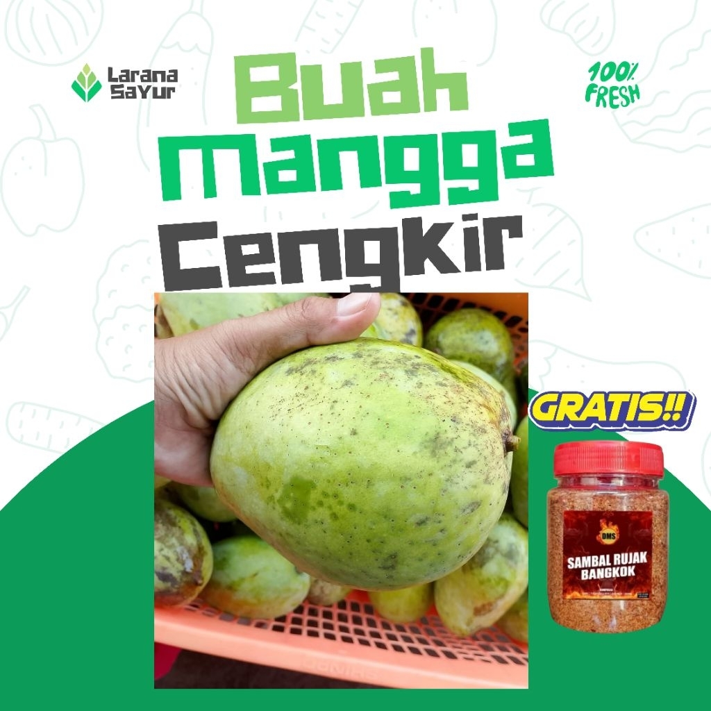 

Buah Cengkir Muda buah cengkir untuk rujak asam manis
