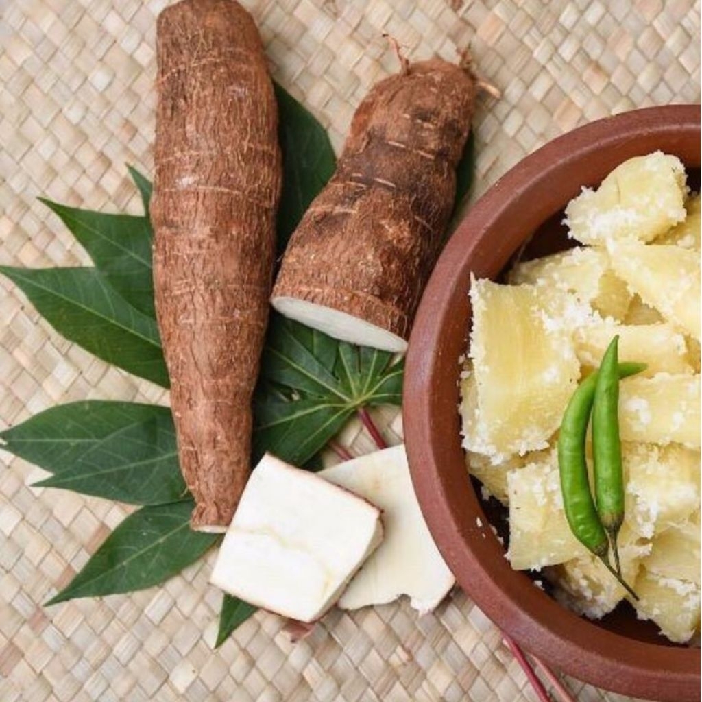 

Umbi Singkong 2kg Segar Presh Di ambil Ketika orderan masuk