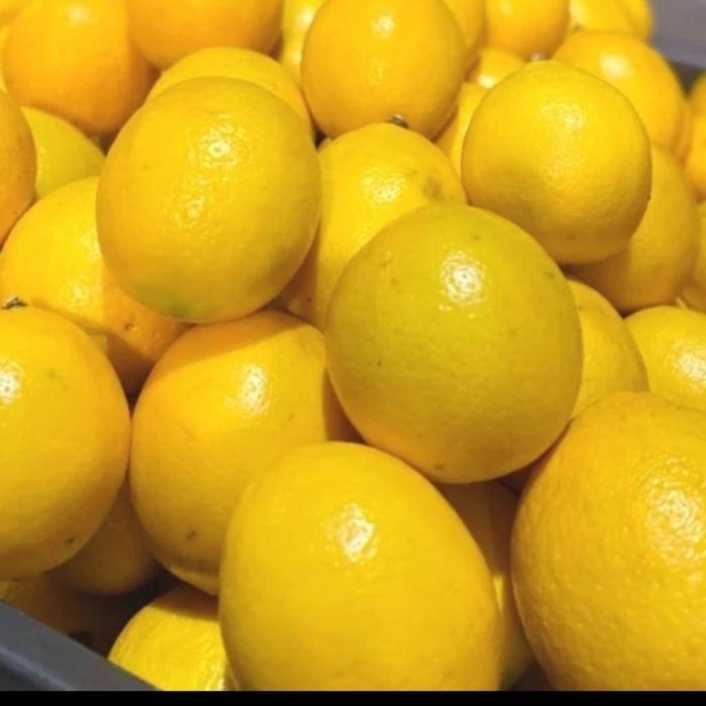 

Lemon California super jumbo isi 5~8 super segar