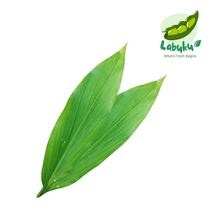 

Labuku – Daun Kunyit Segar Premium Lokal