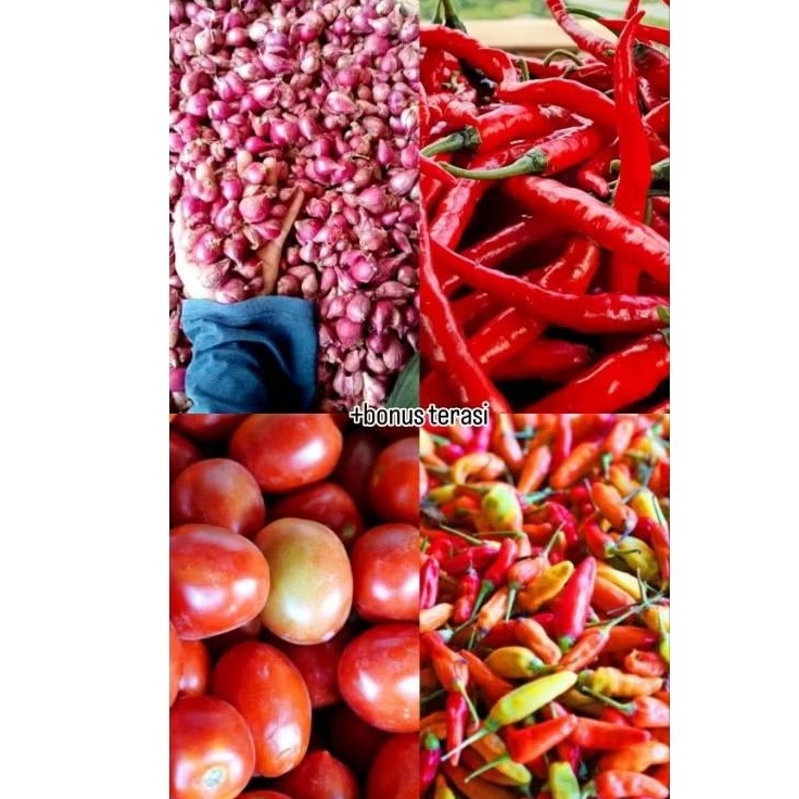 

PAKET SAMBAL EKONOMIS / SAMBEL / PAKET CABE UNTUK MASAK