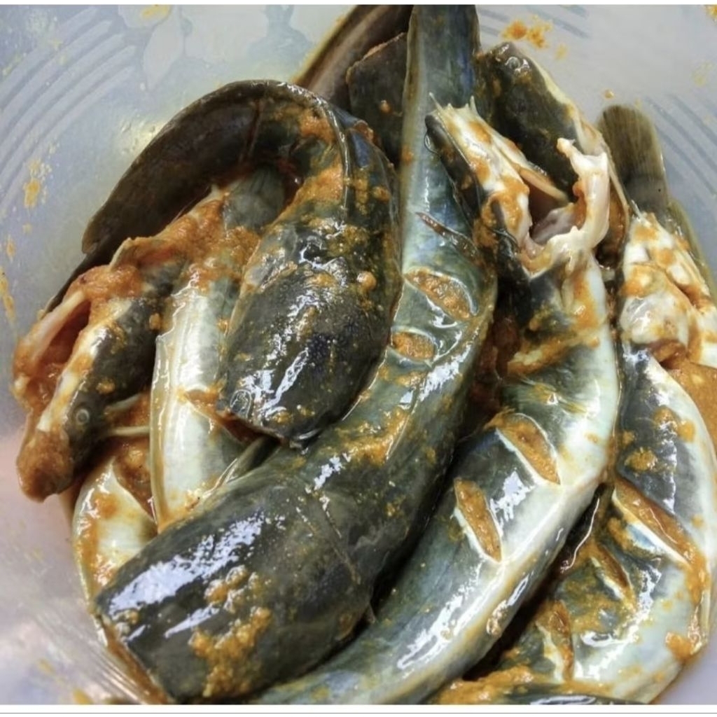 

Lele Marinasi / Lele Segar Bersih / Ayam Kampung ASLI