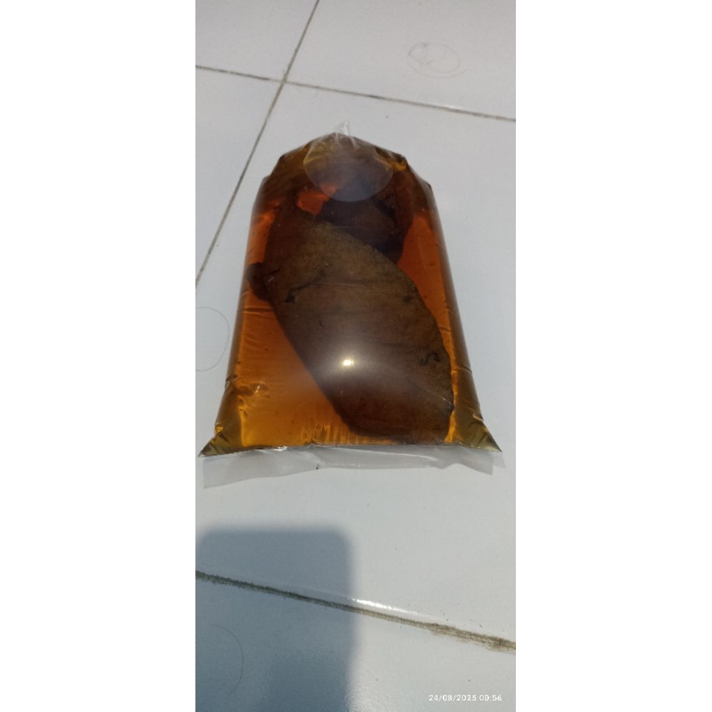 Extrax daun ketapang MARU YS 14-16