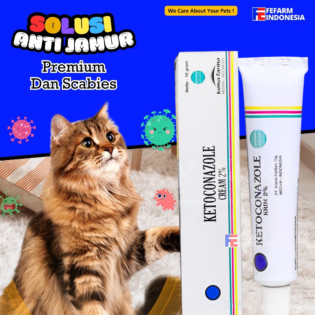 Obat Salep Jamur Kucing Ampuh Salep Luka Jamur Salep Scabies Kucing Ketoconazole FEFARM
