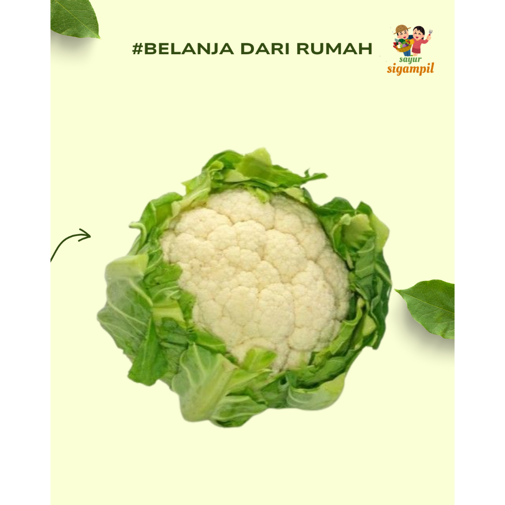 

Burkol Putih Segar 500gr 1pcs