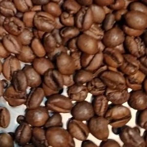 

Exotic Release - Liberica & Excelsa