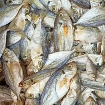 

Ikan asin selar belitung selar kuning 250gr