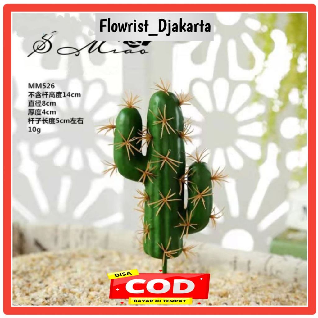 KAKTUS MINI KAKTUS PAJANGAN BUNGA KAKTUS TANAMAN SUKULEN TANAMAN HIAS KAKTUS HIAS BUNGA HIAS BUNGA H