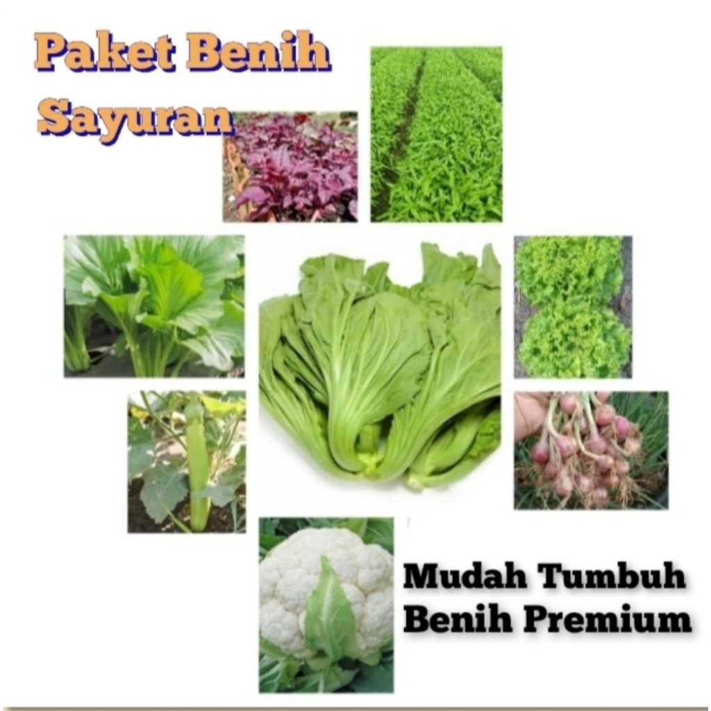 Paket Sayuran Rumahan Benih Sayur Mudah Tumbuh