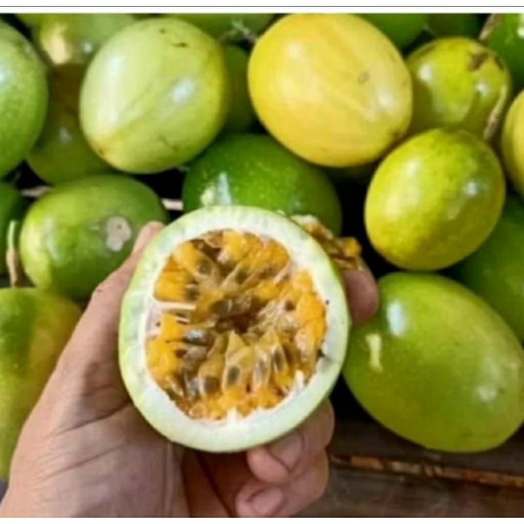 

BUAH MARKISA 500 GRAM