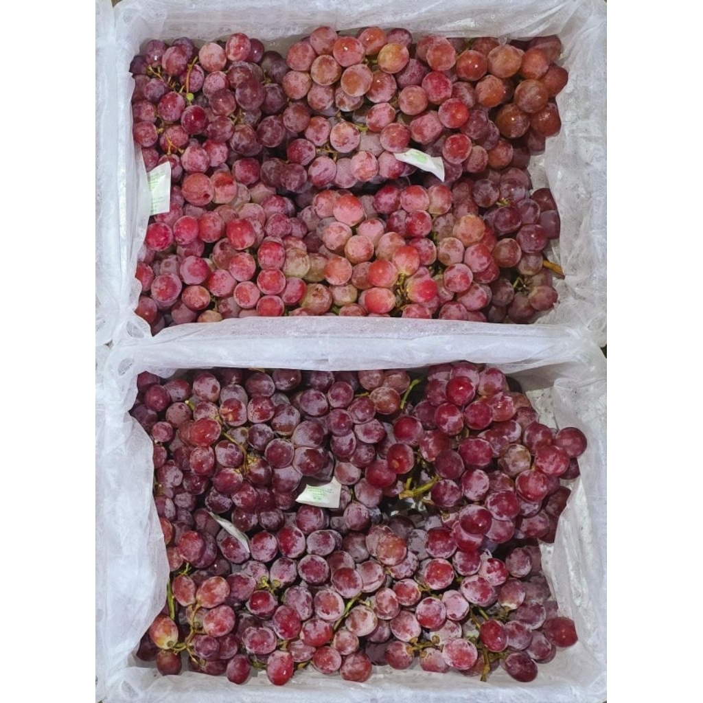 

Anggur red globe 1kg