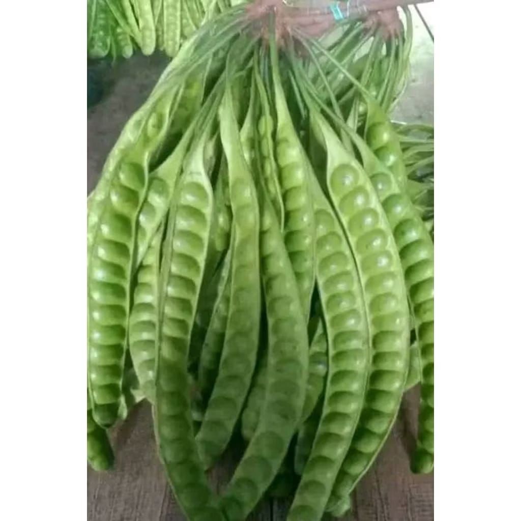 

peket pete/petei super manis asli di bogor 10 papan/lonjor