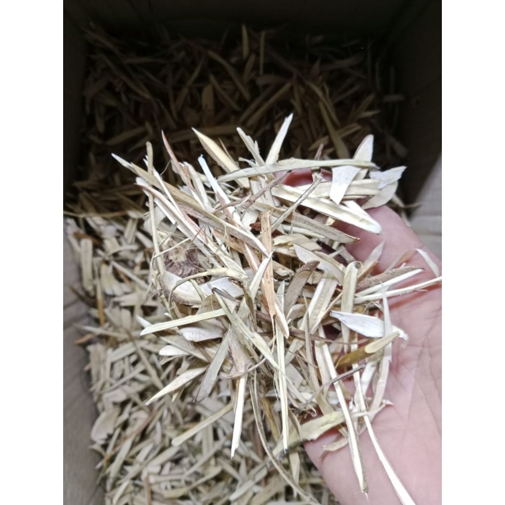 

batang Pat kua kering 25gr / patkua / pak kua / pakkua