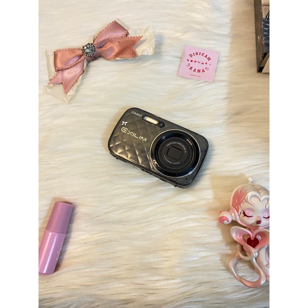 casio exilim ex n10