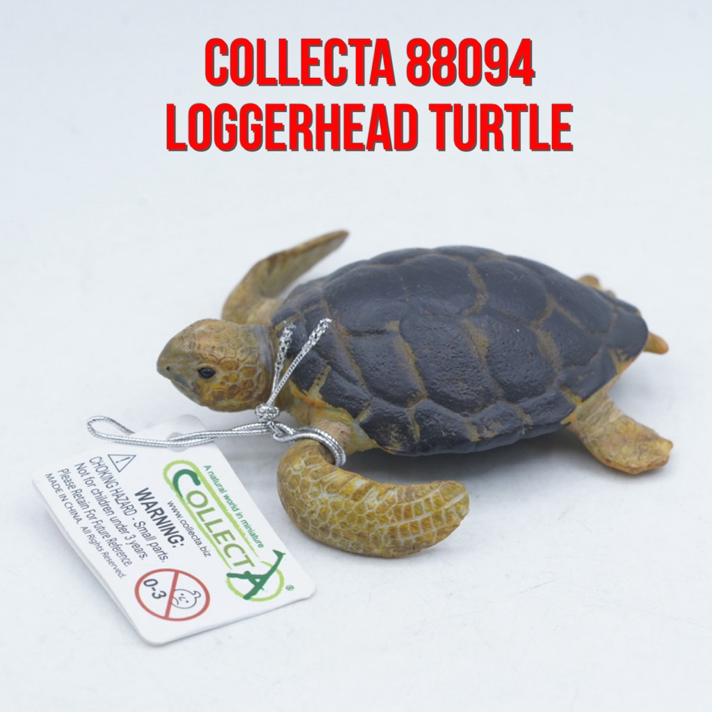 Collecta 88094 Loggerhead Turtle Penyu Tempayan Caretta caretta Mainan Animal Figure Binatang Miniat
