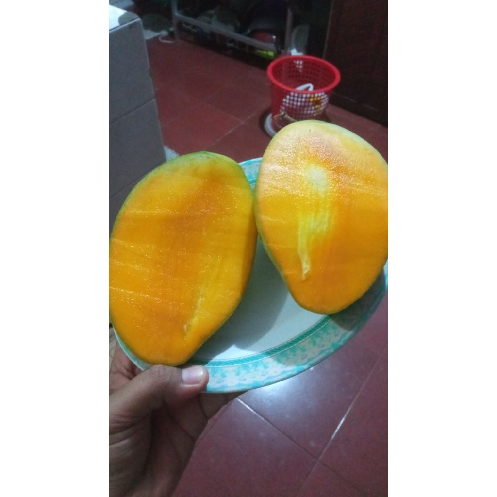 

Mangga Manalagi