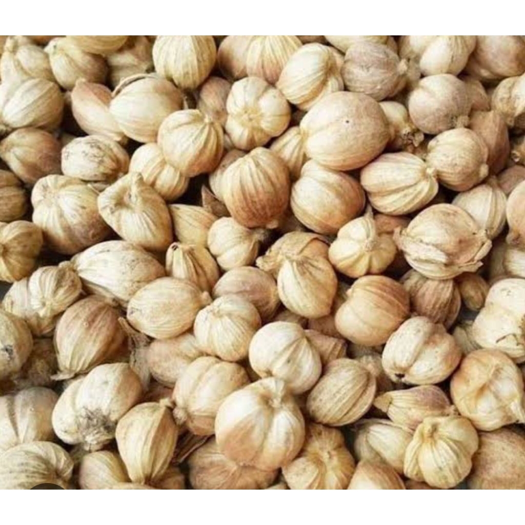 

kapol laga kering500grm