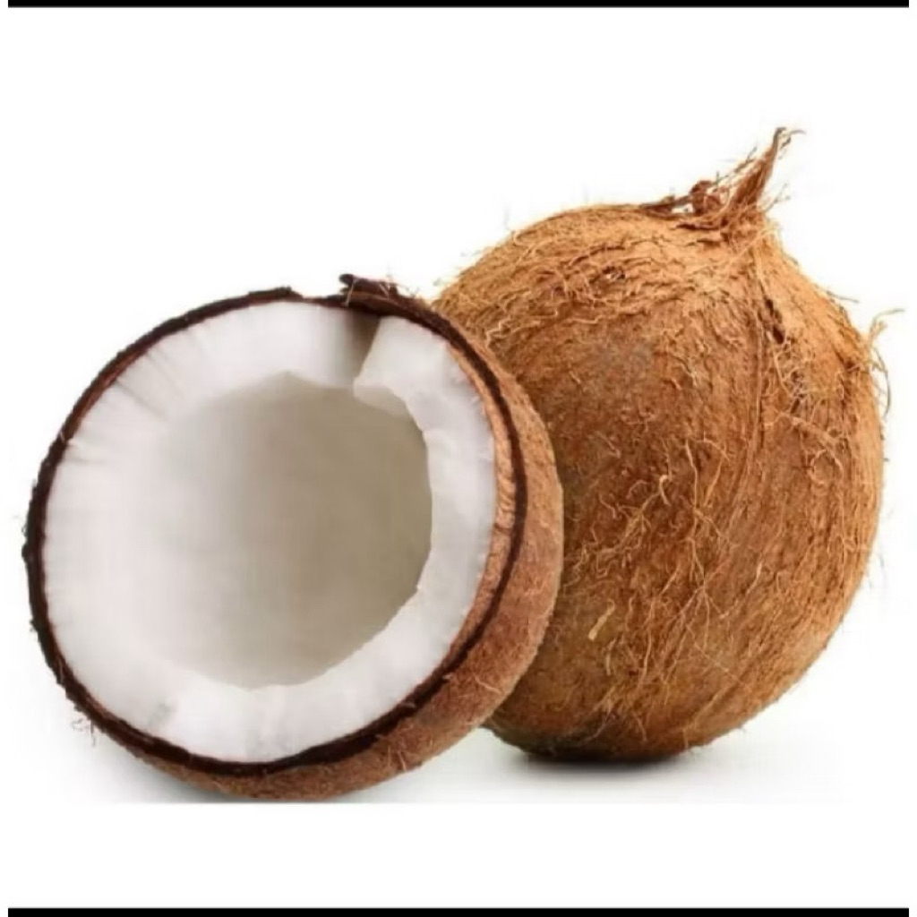 

kelapa tua santan butiran