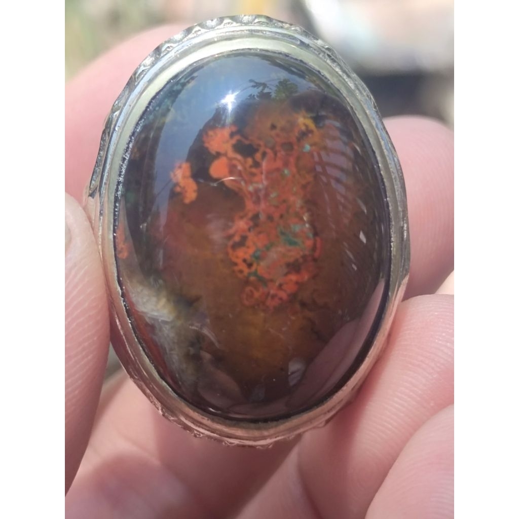 bacan Obi pancawarna merah