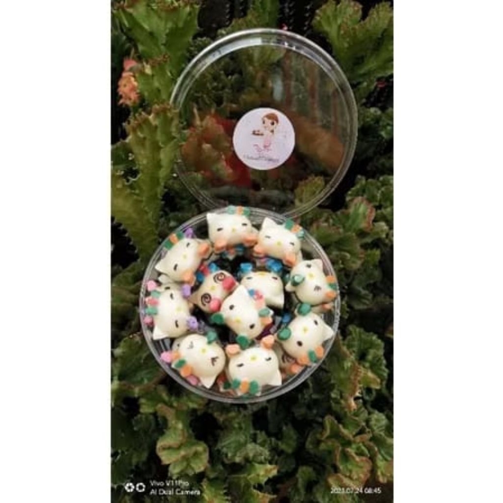 

RasaCookies coklat pralin hello Kitty