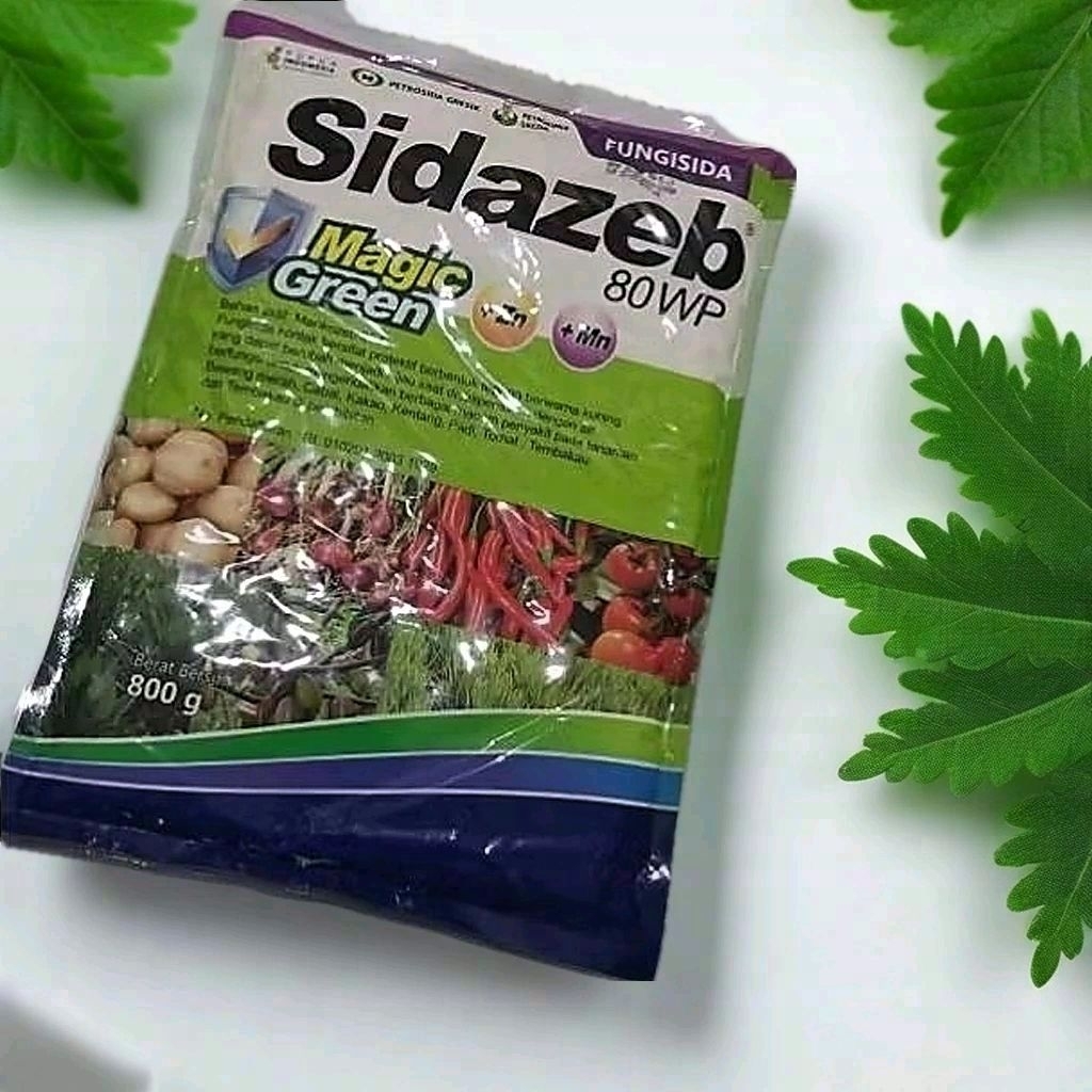 Sidazeb Magic Green Fungisida 80WP Kemasan 800gram Bahan Aktif Mankozeb 80% dengan Zn & Mn untuk Tan