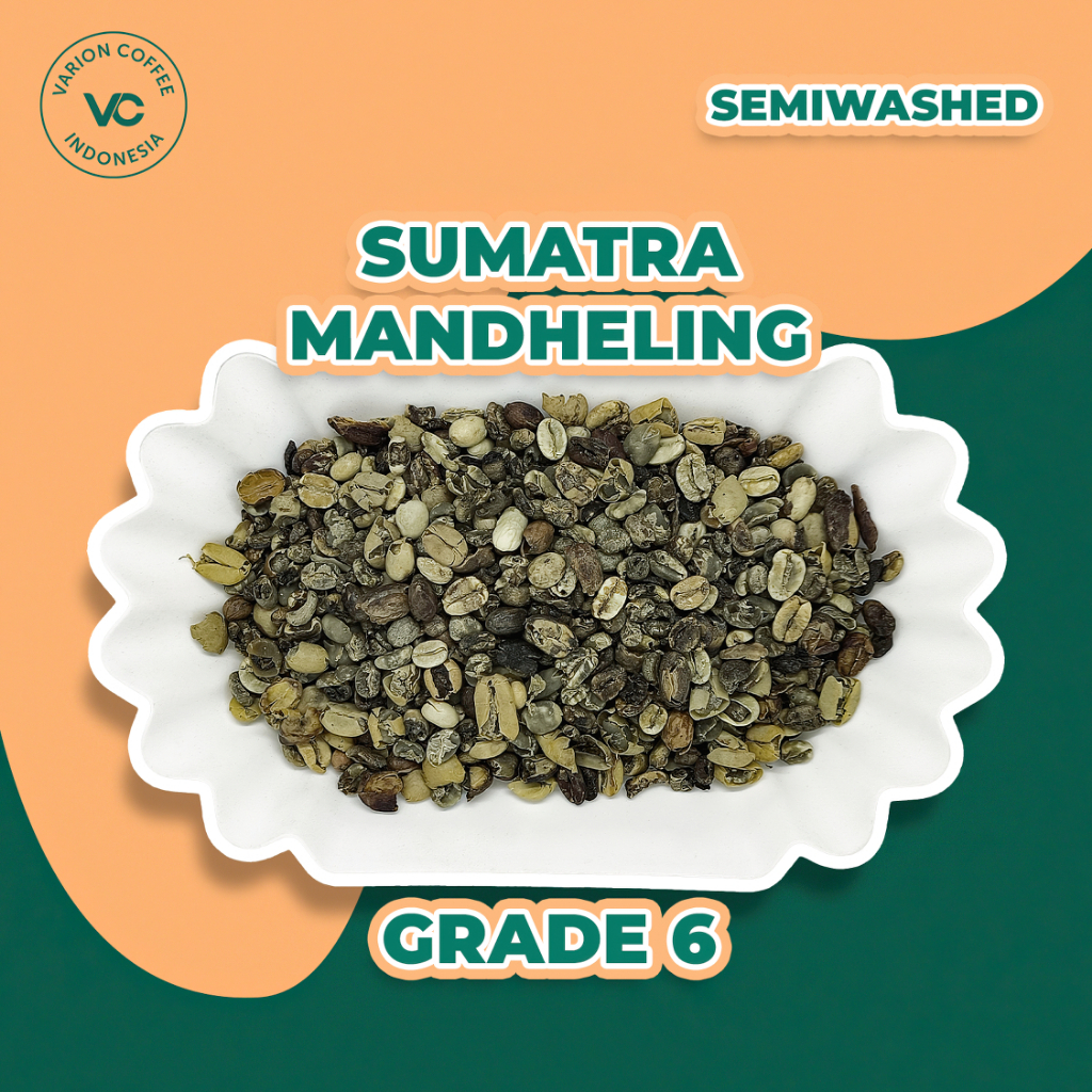 

Green Bean Arabica Mandheling Semiwashed Varion Coffee - Biji Kopi Mentah - Grade 6