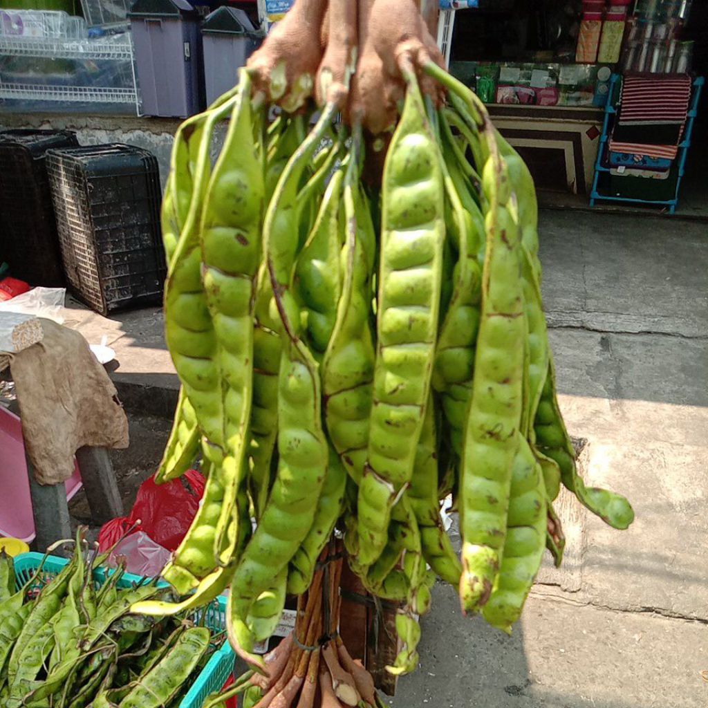 

petai / pete promo murah ..paket hemat isi 10 papan