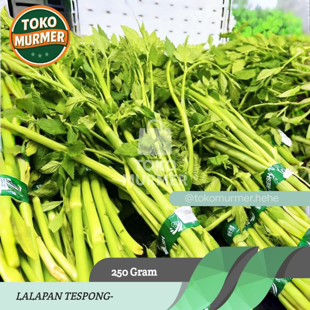 

Tespong segar lalapan enak 250 gram_Toko murmer